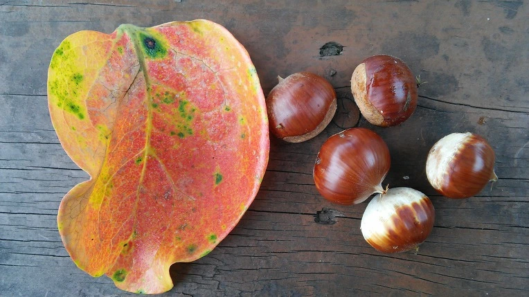 9941A13359CB180103A08D