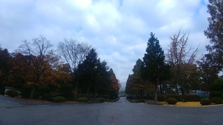 99DFA5475BD65E863A258D