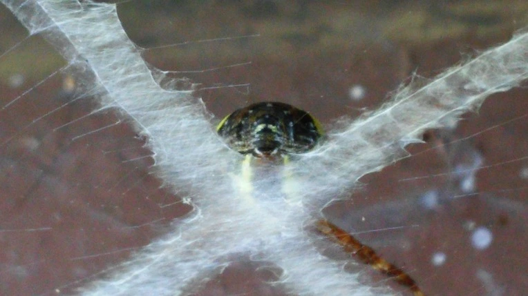 24749D4455F11E8312AF1B