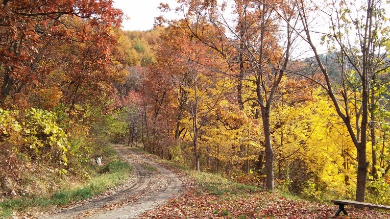 22647B37564315021FD254