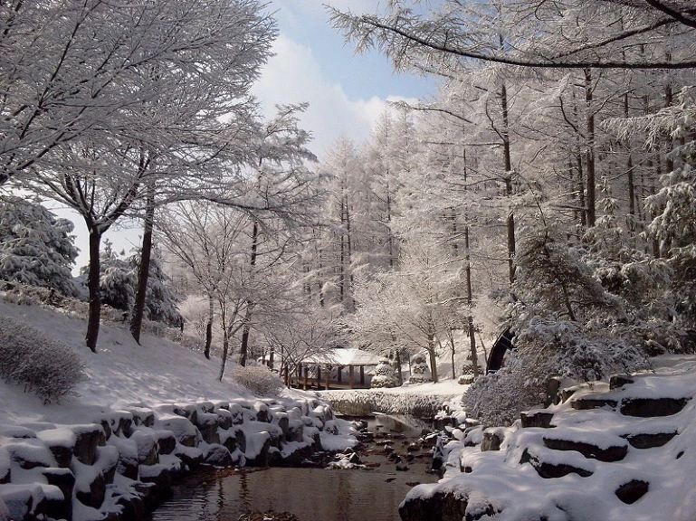 236A5E39564D22DD386475