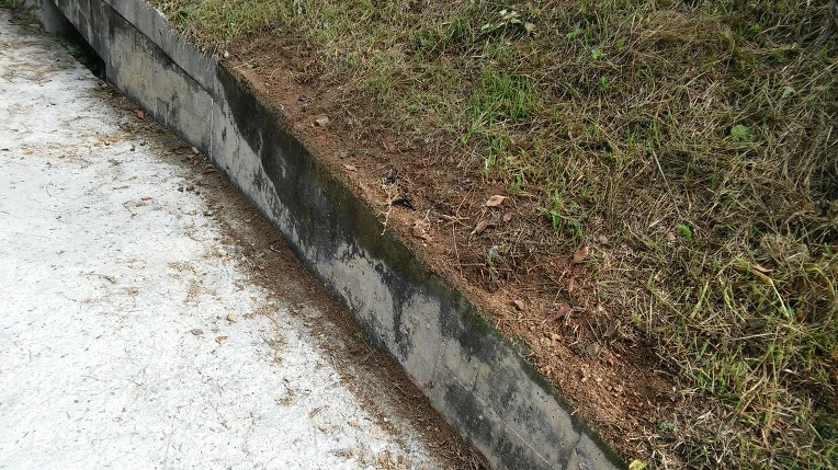 247E1A4957CA2328182AB7