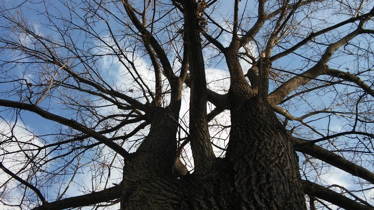 256100495878B2462A58E4