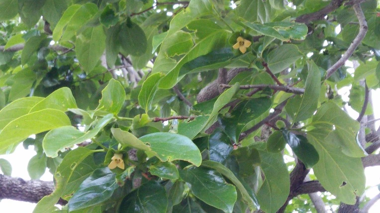 253AD13B594458502E7D6B