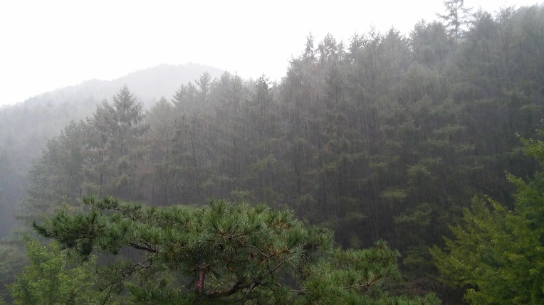 2113D534560D7F211ED084