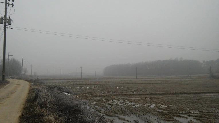 214F5D4F5880258E2D4EA5