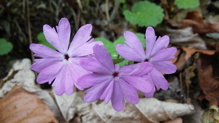 242FD64C5914160F033E08