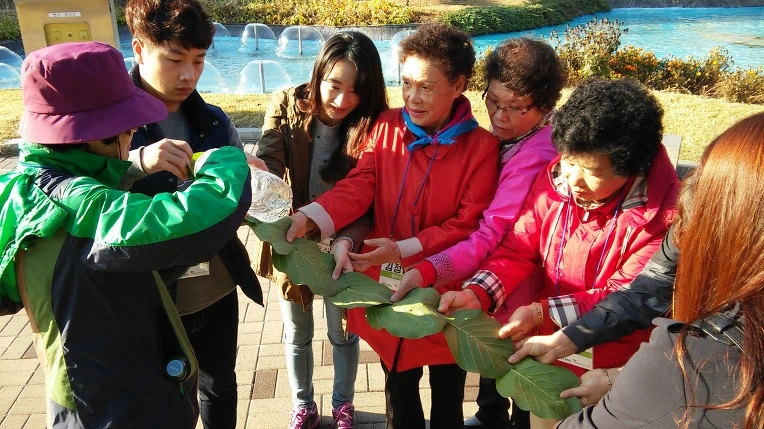 2643B2365630850A295D77