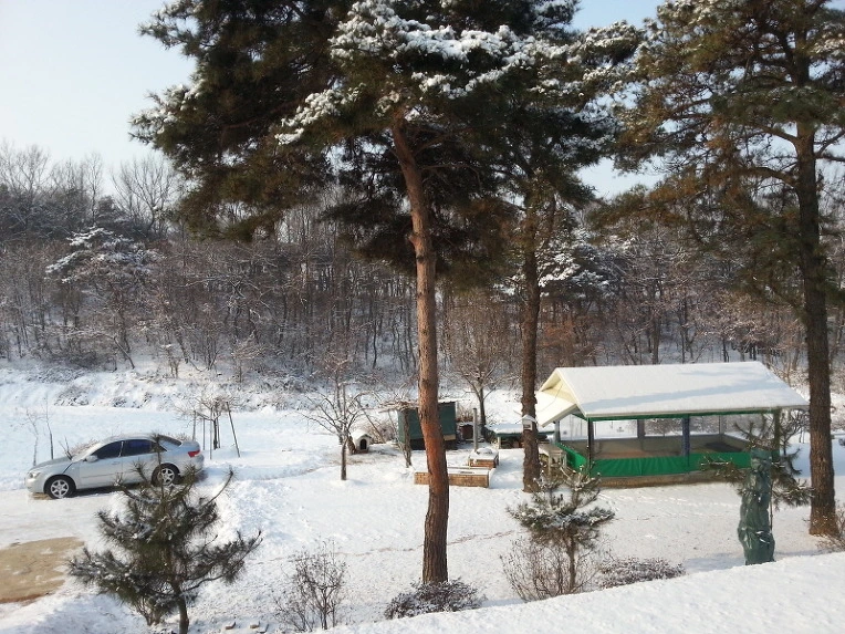 257EDA4C547F945F08F458