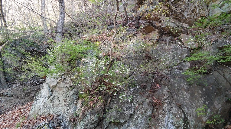 2240E03758FBF7D20B18BF