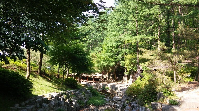 217EBC47568CF79729537A