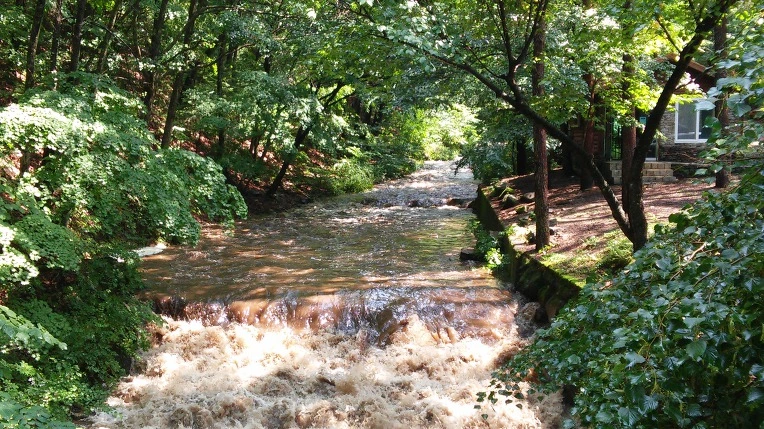 99F19D33598F7B4D1A375F