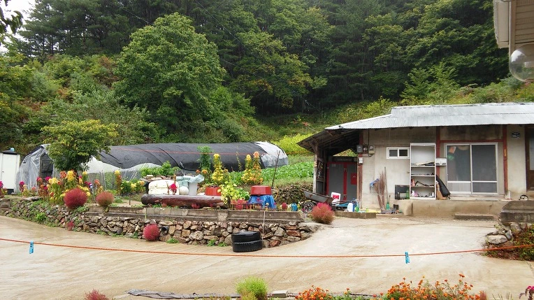 99EF423359CB17EF23E35C