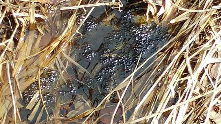 997530375ABD665B1535B7