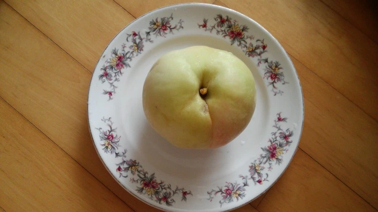 277B283E57A6AA282F1621