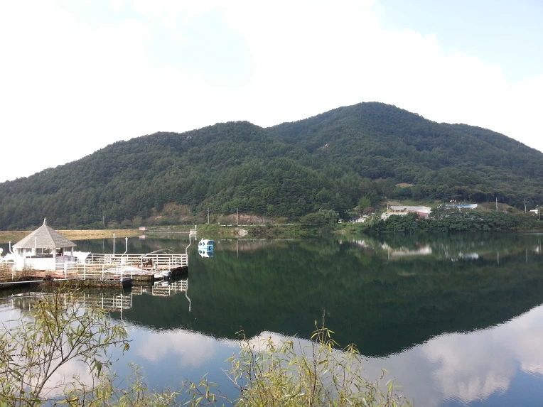 223A095056946FDF01321D