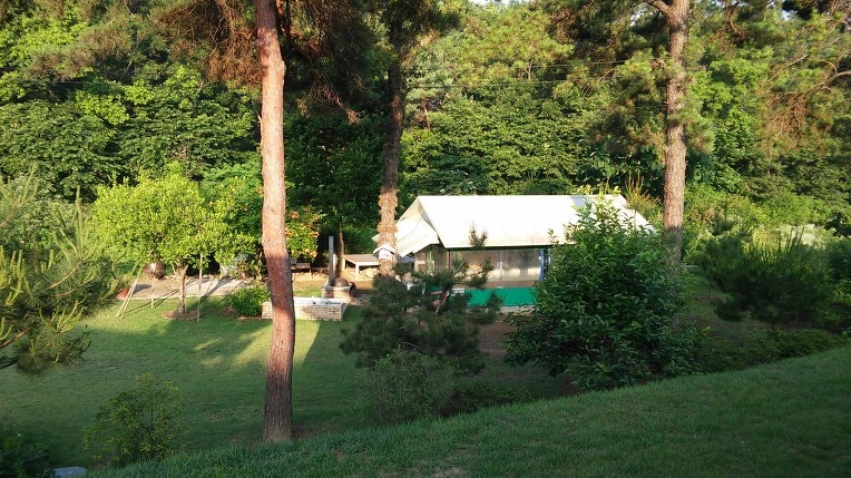 27579947576F809429C71A