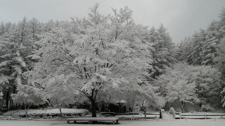 275BA133565F93F92B7C7E