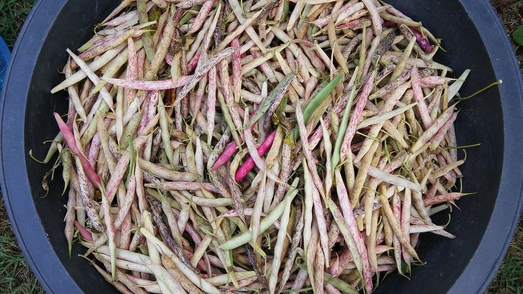 27503947576F80D532CE0D