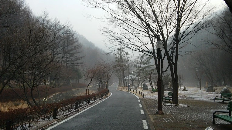 276F2E4555028248325A3B