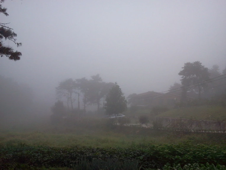 1918943E4E7491530D1A36