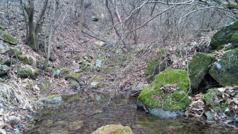 2776284156D108AF336826