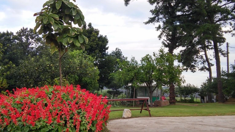 230AF93E57C39C39055E74