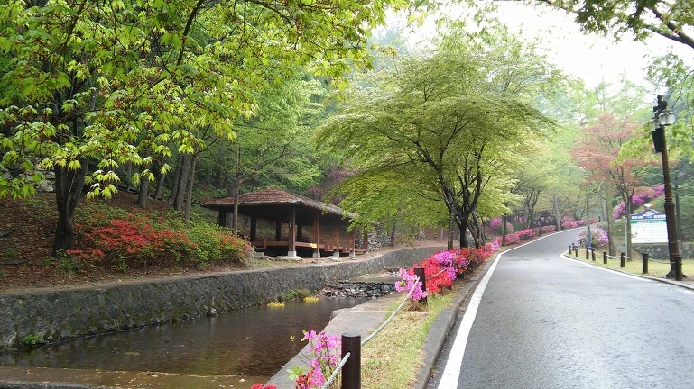 2621E739564D2090097687