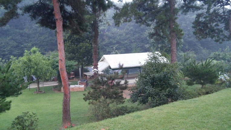 2264BA3C57D0B8AB22932D