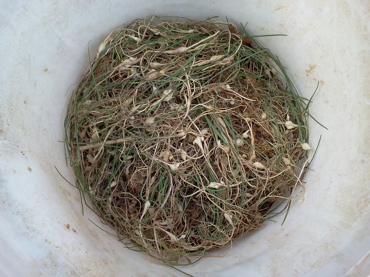 16452F3B515789A923EB75