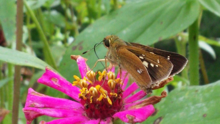 99073133599E1B2820902C