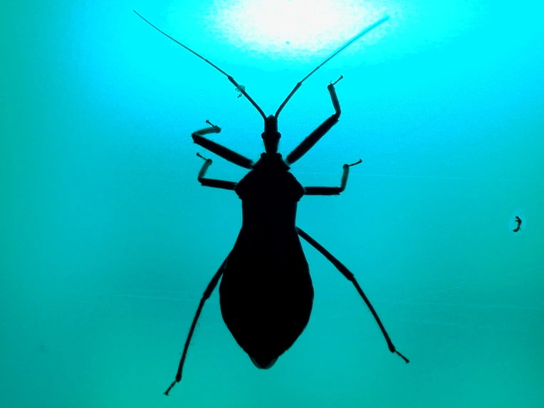 135EE9434F9E3BA719B2C1