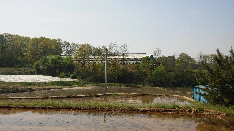 250C3A39571EEE5A31532F