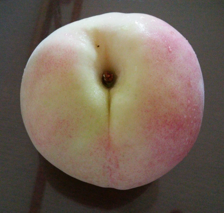 2717BC3E57A6AA231B7883