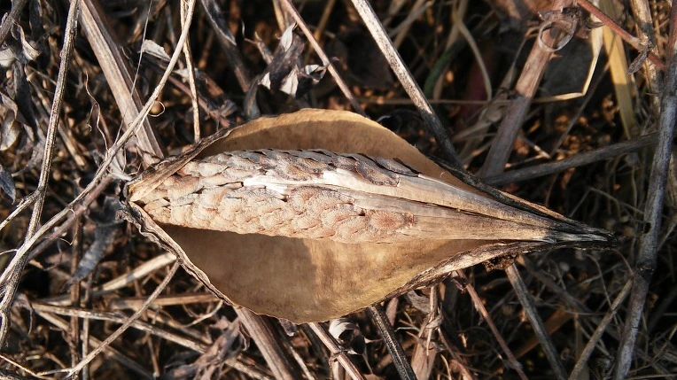 2649E73756B3079213A836