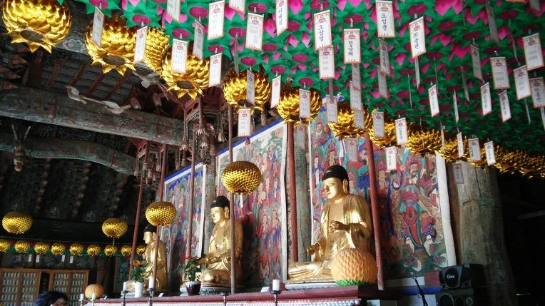 257EB83A572E6A0626CD74