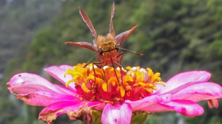 9938B433599E1B39283D13