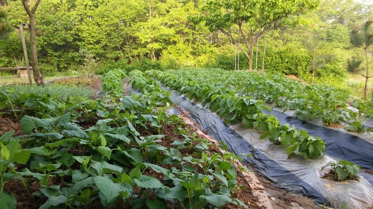 26710F3B572E66E412FF16