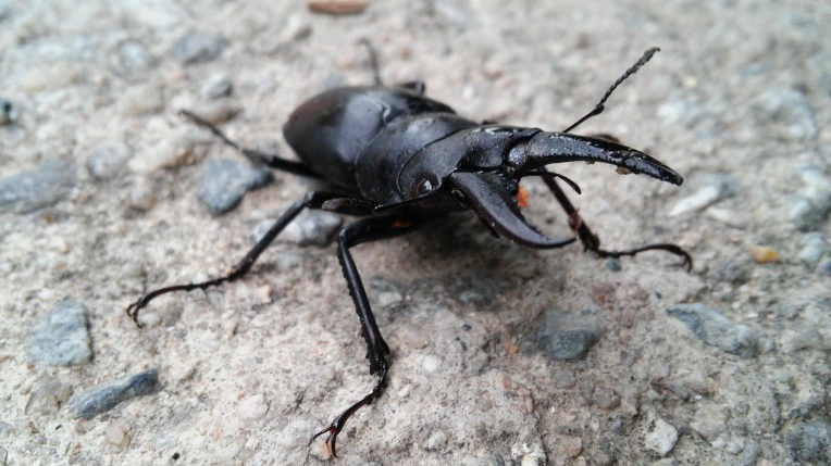 26428C3E57A19F1412E354