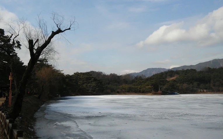 2442FB3E56AD8CC51AA4A5