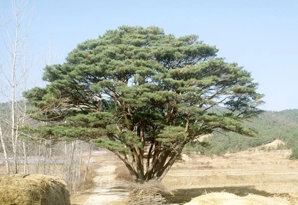 GetImage?id=7641345d-3573-4141-a295-d0ea5a2d3600&amp;w=260&amp;h=260&amp;fit=w&amp;clip=1