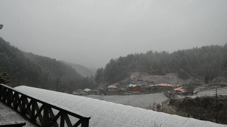 213E633558DF027027A41E