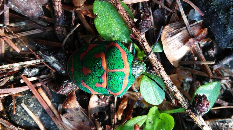 256E013D59300A4D1FFBD4