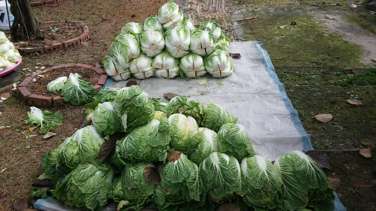 271FBE4E56499A7A2DB069