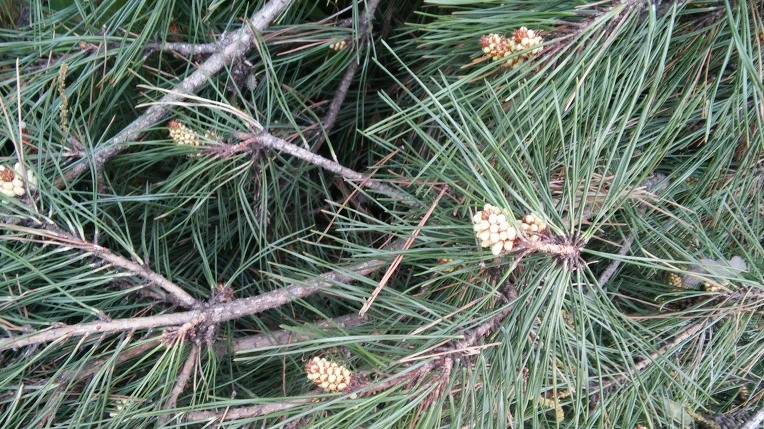 214BC349572696FB19F83A