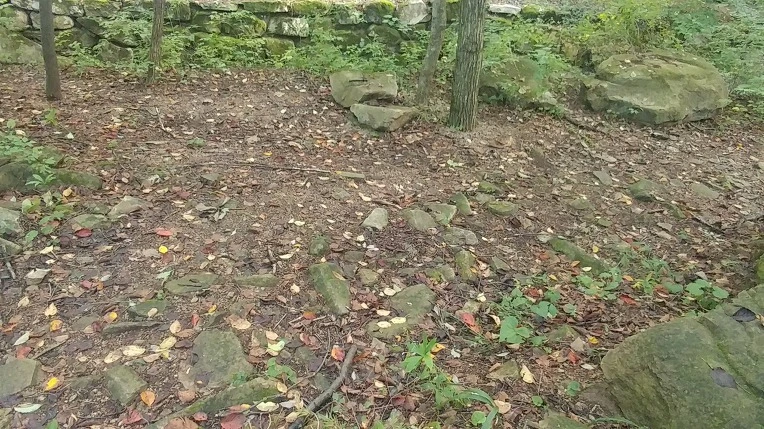 99BD78495DBE6C660C7835