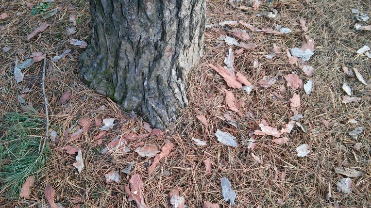 2467664D566DDFC230CC88