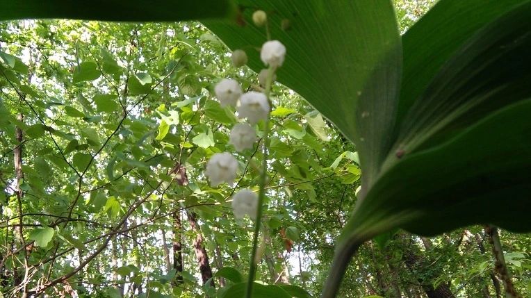 261D6A4757292A1B2828D0