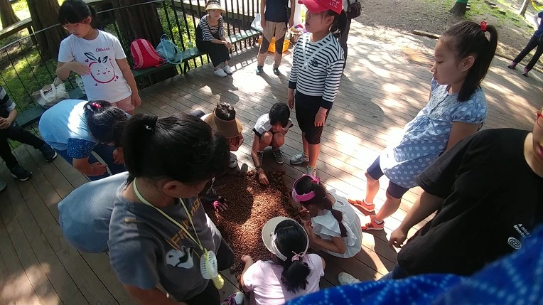 9909D8465B4D8E760615DD