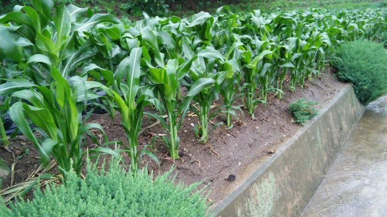 2420AB4B59596D041D9BBC